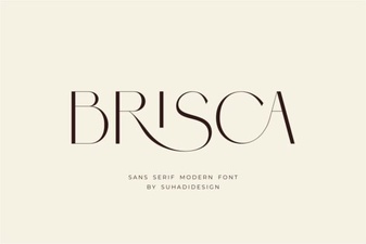 Brisca Font: Creative Typography for Design Projects
